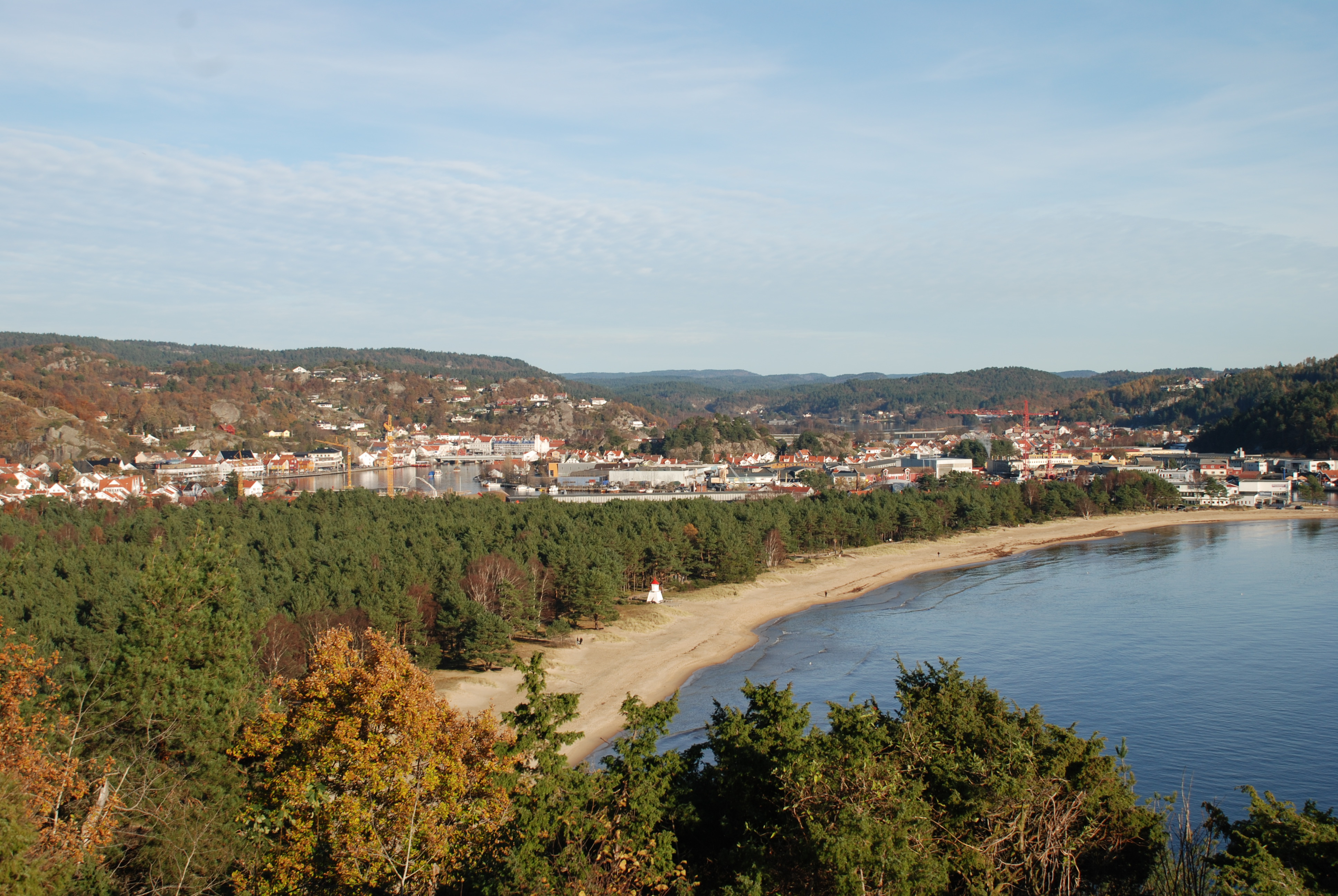 Panorámica de zona costera con playa, bosque y población en el fondo