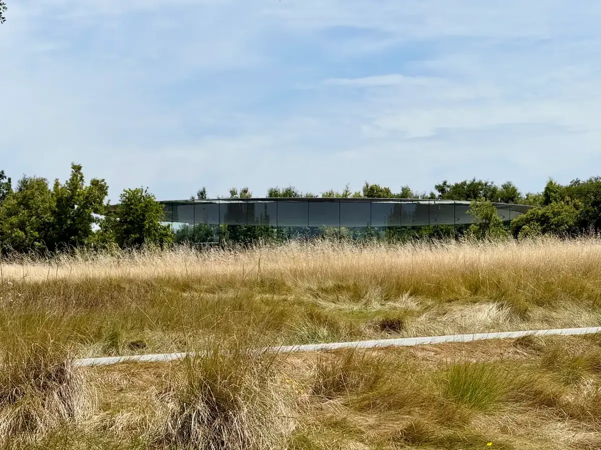 Vista del edificio circular de Apple Park entre árboles y pastizales dorados